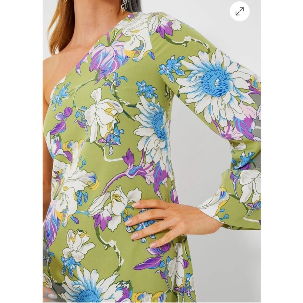 Tuckernuck Green Floral One-Shoulder Maxi Dress - Picture 2 of 15